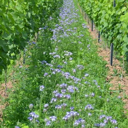 Ferienweingut Gansen / Hochgenuss 1 Daire Ernst Dış mekan fotoğraf