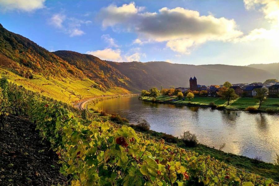 Ferienweingut Gansen / Hochgenuss 1 Daire Ernst Dış mekan fotoğraf