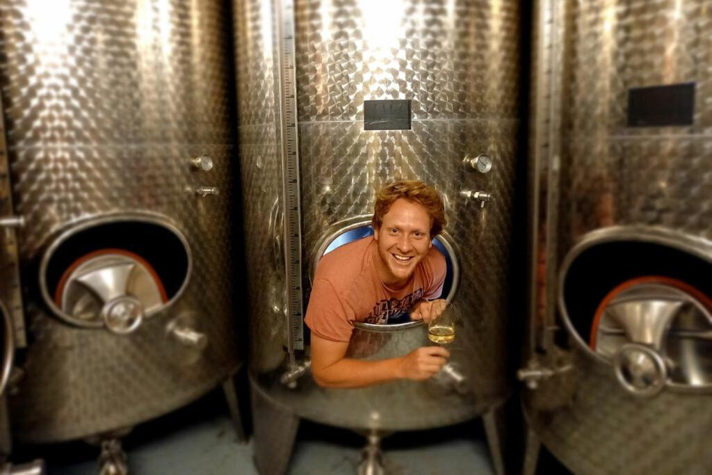 Ferienweingut Gansen / Hochgenuss 1 Daire Ernst Dış mekan fotoğraf
